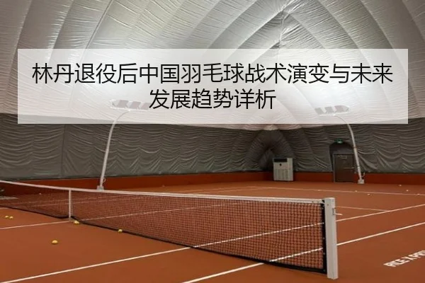 林丹退役后中国羽毛球战术演变与未来发展趋势详析